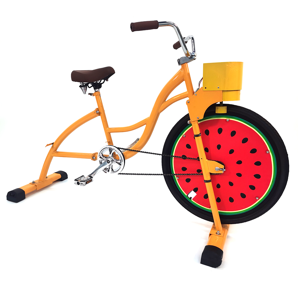 Bicicletta a Pedali Elettrica  - Outdoor Power Generator recensione e prezzo